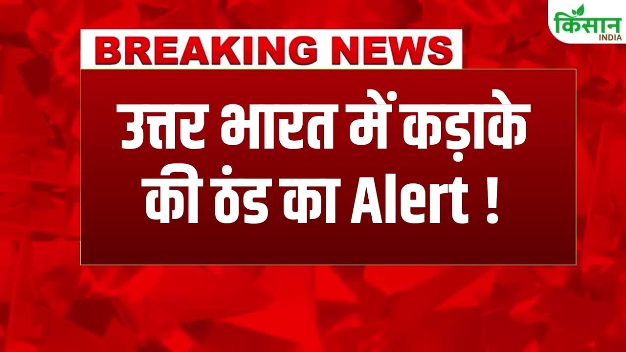 Kerala And Tamil Nadu Are Hit By Rain Delhi And Ncr Shiver Cold Meteorological Department Issues New Alert