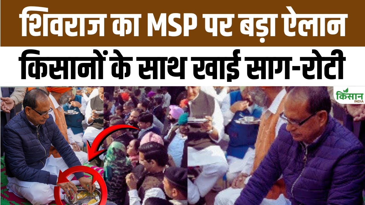 Shivraj Desi Style Shines He Ate Saag Roti At Manje And Gave Farmers Great Assurance On Msp