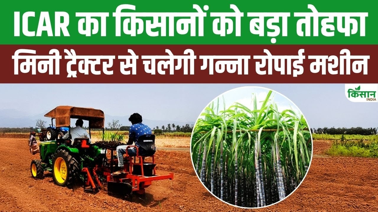 Icar New Sugarcane Planting Machine Make Farming Easier And Help Increasing Farmers Income