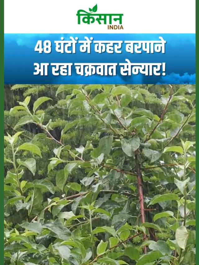 Aaj Ka Mausam: 48 घंटों में कहर बरपाने आ रहा तूफान सेन्यार, देश के 4 राज्यों में बारिश की चेतावनी