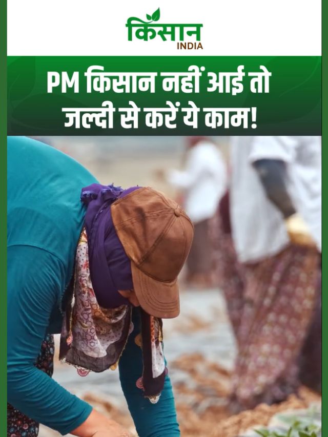 PM Kisan News: क्या आपको नहीं मिली 21वीं किस्त तो फटाफट जल्दी से कर लें ये काम