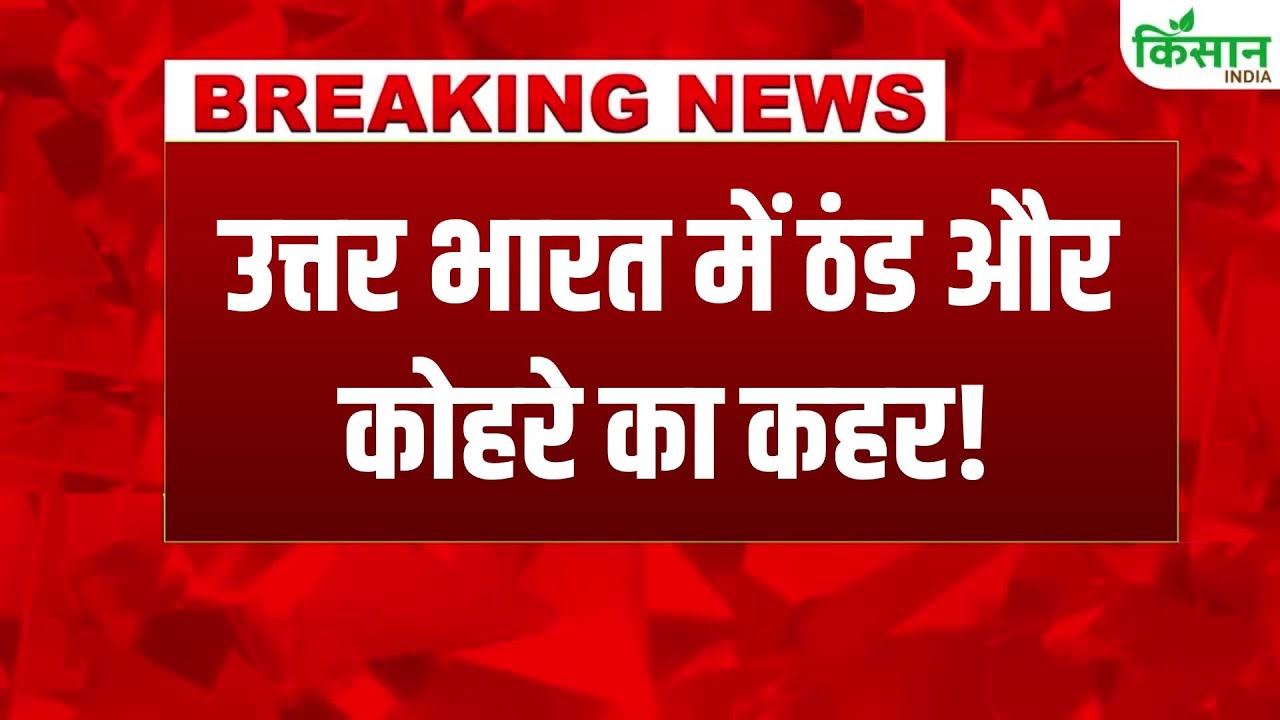 Weather Breaking Western Disturbance Activates Alert Rain And Snowfall In Himachal And Uttarakhand Cold Increase In Plains