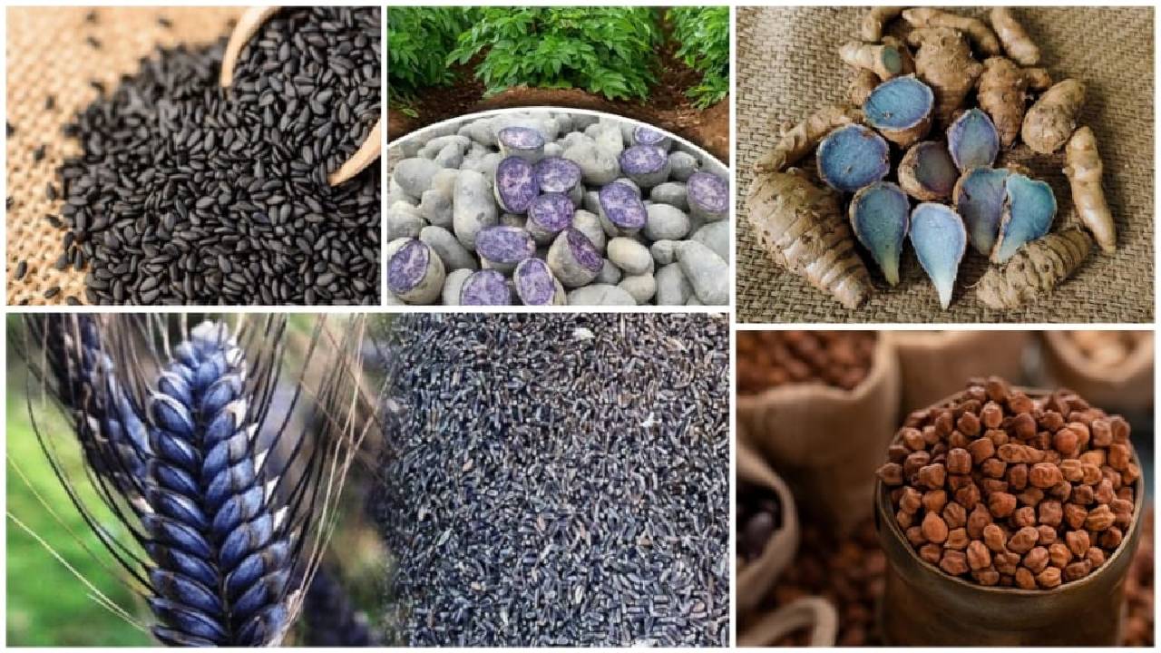 Know About The Benefits Of Black Seeds