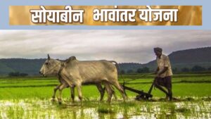 3.77 लाख सोयाबीन किसानों के खातों में पहुंचे 810 करोड़ रुपये, भावांतर योजना की नई किस्त जारी