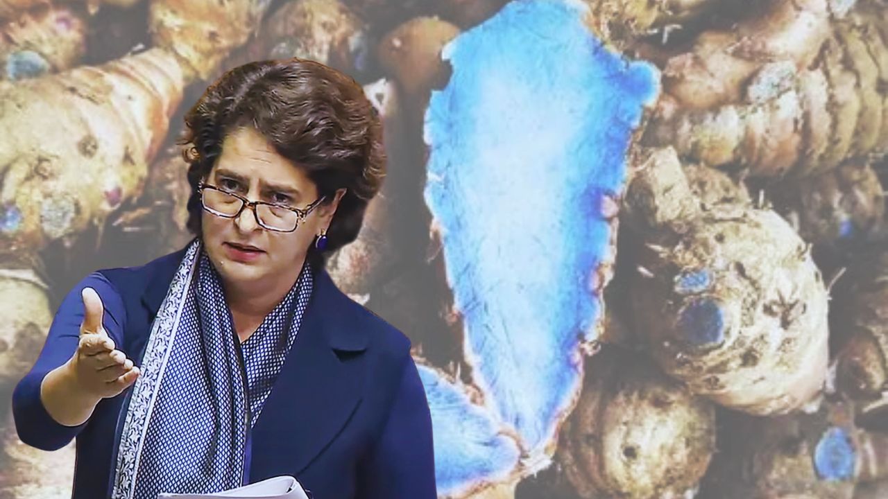 संसद में प्रियंका गांधी ने किया खुलासा! ये नीली हल्दी बनाती है शरीर को सुपरहिरो, जानिए चौंकाने वाले फायदे!