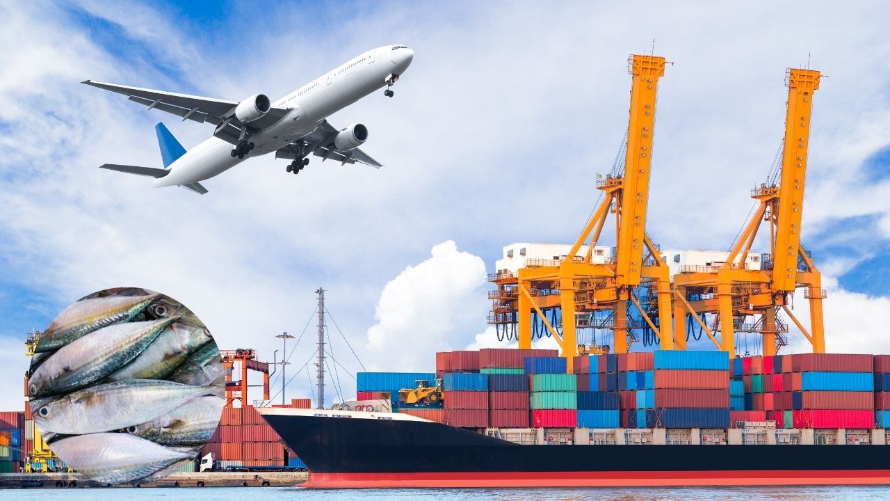 23rd India Russia Summit Expands Fisheries Dairy Trade These Indian Companies Get Big Opportunity