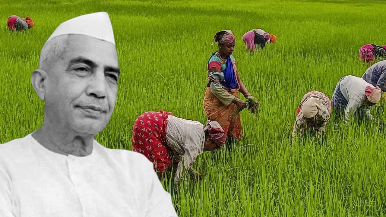 Kisan Diwas: जिनकी राजनीति की जड़ें खेतों में थीं, किसान दिवस पर जानिए कौन थे चौधरी चरण सिंह?