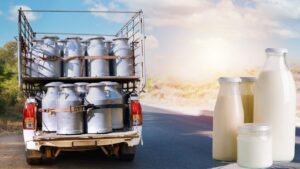 Highest Milk Producer States: भारत के सबसे बड़े दूध उत्पादक राज्य, टॉप 5 स्टेट की लिस्ट यहां देखें Highest Milk Producer States: भारत के सबसे बड़े दूध उत्पादक राज्य, टॉप 5 स्टेट की लिस्ट यहां देखें