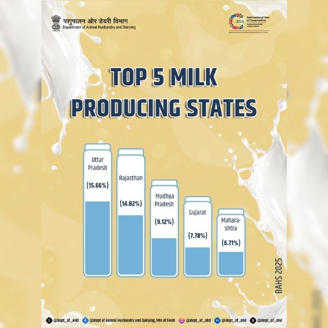 Milk Production India, Top Dairy States, Indian Dairy Sector