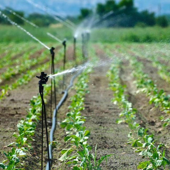 Drip Irrigation Guide