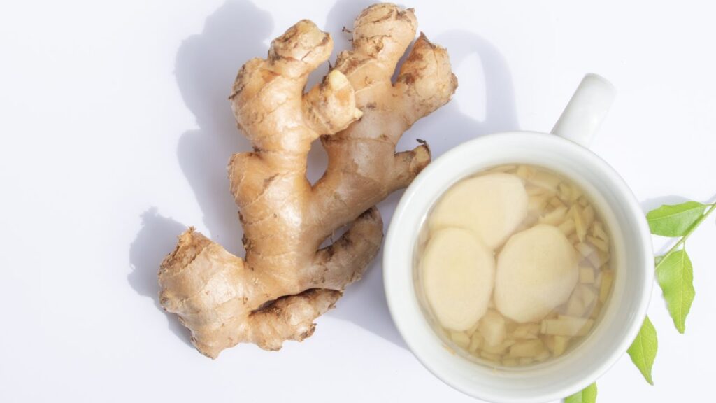 Adrak Ke Fayde: अदरक में जिंजरॉल और शोगॉल जैसे तत्व होते हैं, जो हवाई नालियों को खोलते हैं और सांस लेने में आसानी देते हैं. यह खांसी और गले की खराश को भी कम करता है. Adrak Ke Fayde: अदरक में जिंजरॉल और शोगॉल जैसे तत्व होते हैं, जो हवाई नालियों को खोलते हैं और सांस लेने में आसानी देते हैं. यह खांसी और गले की खराश को भी कम करता है.