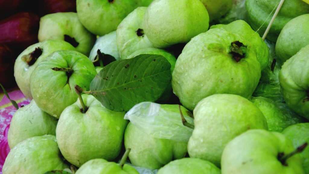 बाजार से लाए गए अमरूद को हमेशा धोकर ही खाने की सलाह दी जाती है. फल पर अक्सर पेस्टिसाइड या फर्टिलाइजर का छिड़काव होता है, जो सेहत के लिए हानिकारक हो सकता है. धोकर सेवन करना इसे सुरक्षित बनाता है.