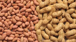 Report: बाजार की मांग और अच्छे दाम से बढ़ा मूंगफली का क्रेज, किसान छोड़ रहे कपास की खेती