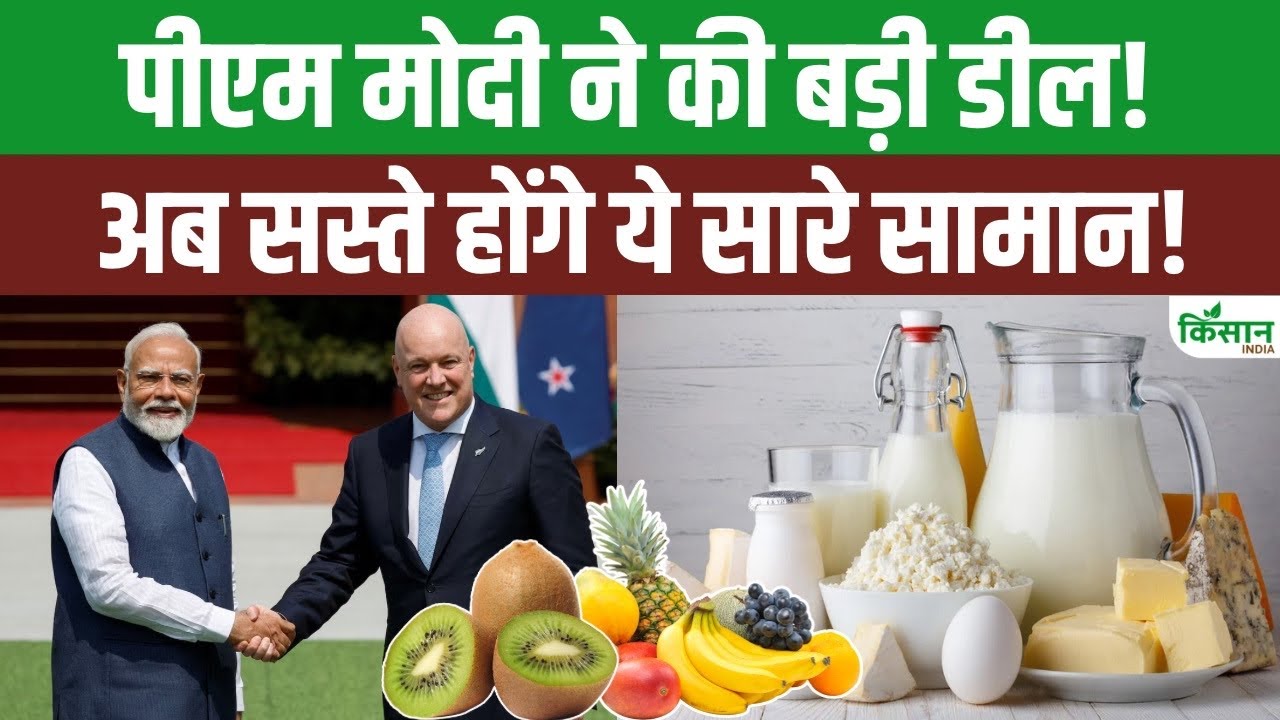 India New Zealand Free Trade Agreement These Products Will Now Be Cheaper Check Full List