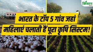 Top 5 Village: बाजार रणनीति, फसल चयन और मुनाफे का गणित तय करती हैं गांव की महिलाएं