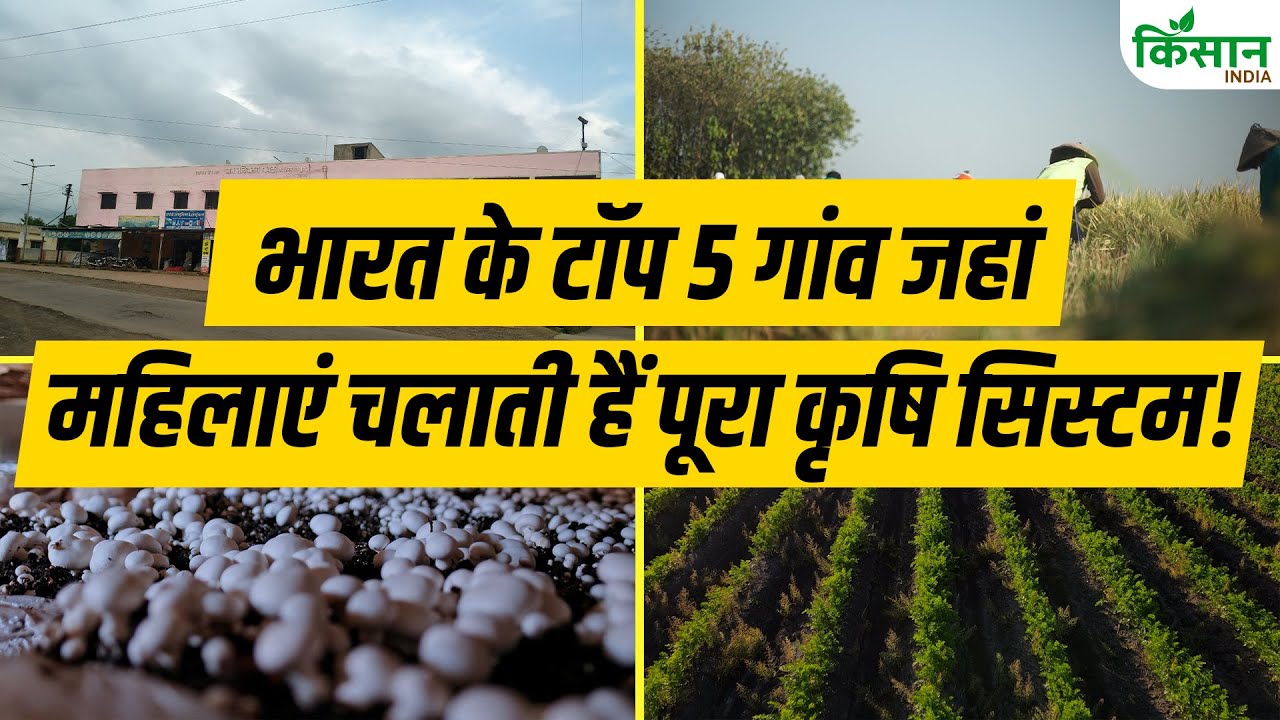 Top 5 Village Women Decide Market Strategy Crop Selection And Profit Calculations