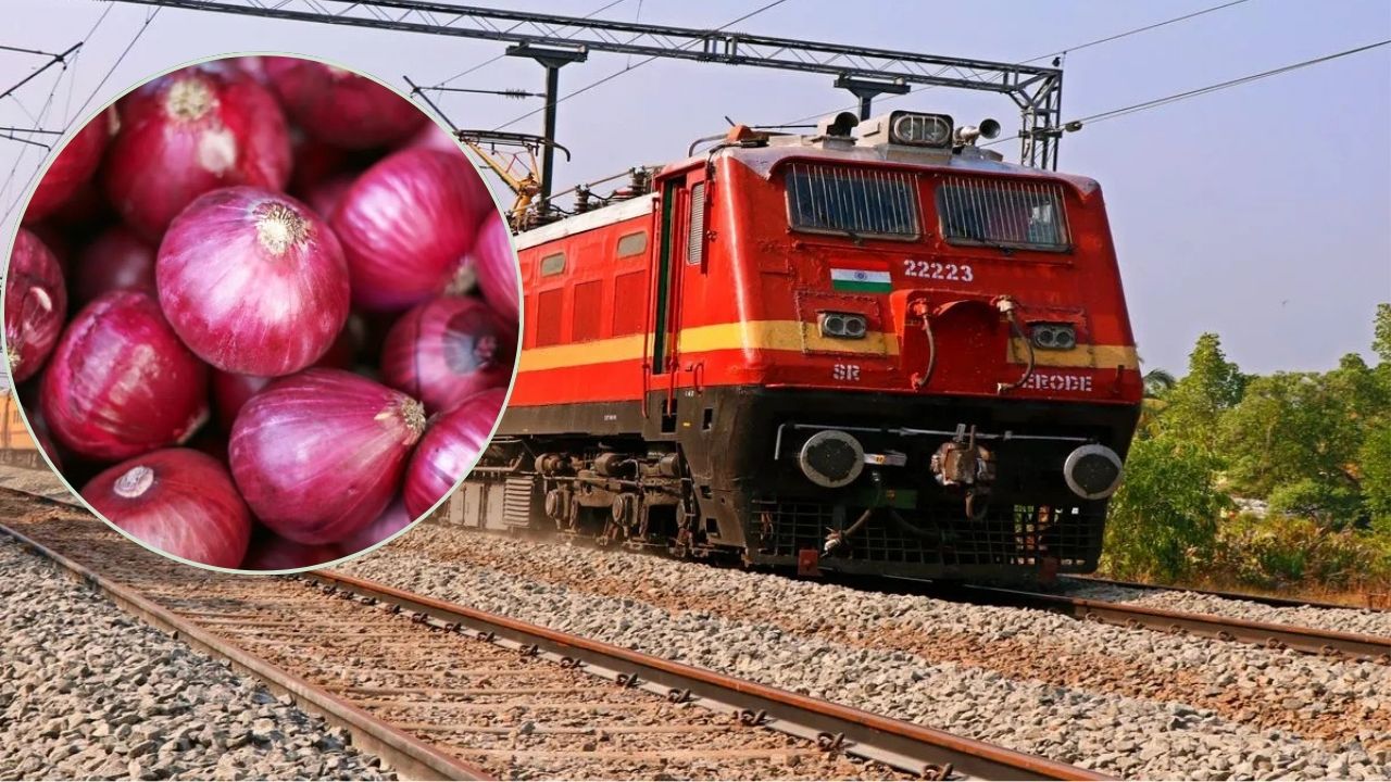 Kanda Express Has Brought Inflation Under Control Onion Market Rates