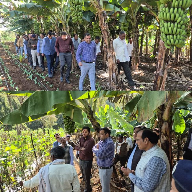 Madhya pradesh puranpal champion kisan