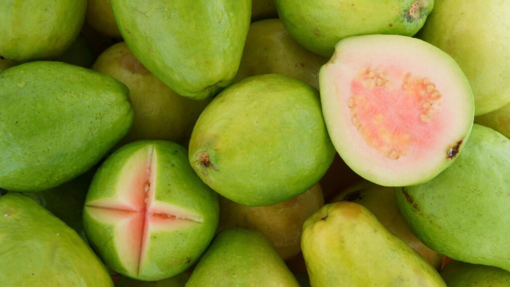 अमरूद की वैरायटी के अनुसार आकार और वजन अलग होता है. लेकिन आमतौर पर हल्के या नॉर्मल वजन वाले फल ही बेहतर मीठास देते हैं. भारी और बड़े फल में बीज कड़क होते हैं और अक्सर उनका स्वाद मीठा नहीं होता.