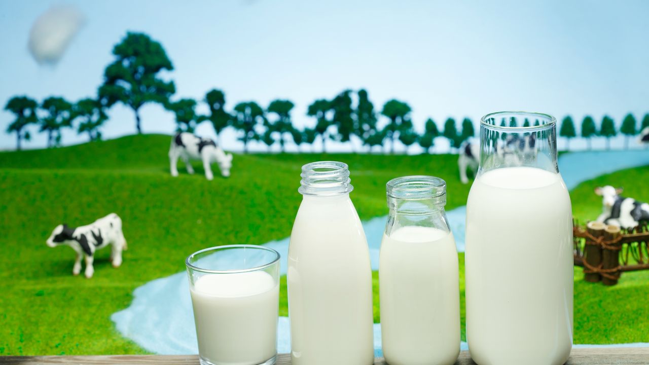 Rajasthan Government Dairy Animal Husbandry Growth