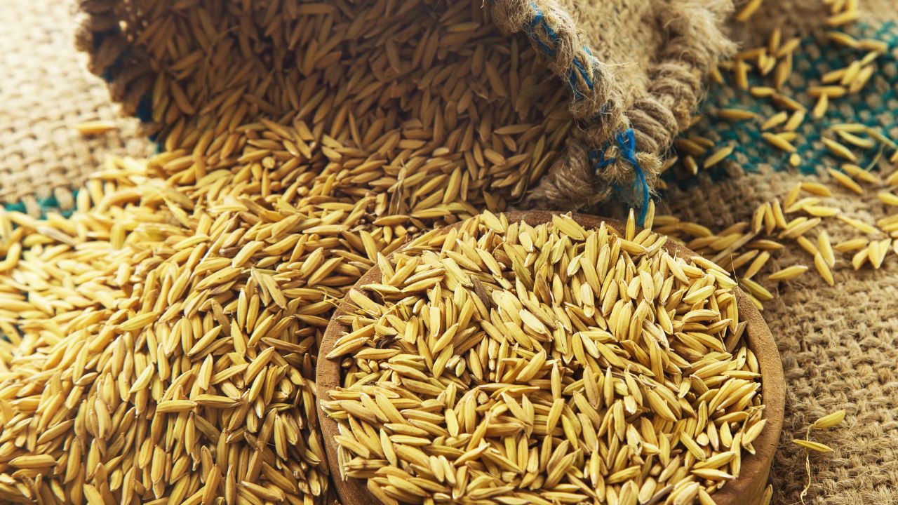 Protect Rice From Insects Years Come Learn Effective Indigenous And Modern Methods Safe Storage Home