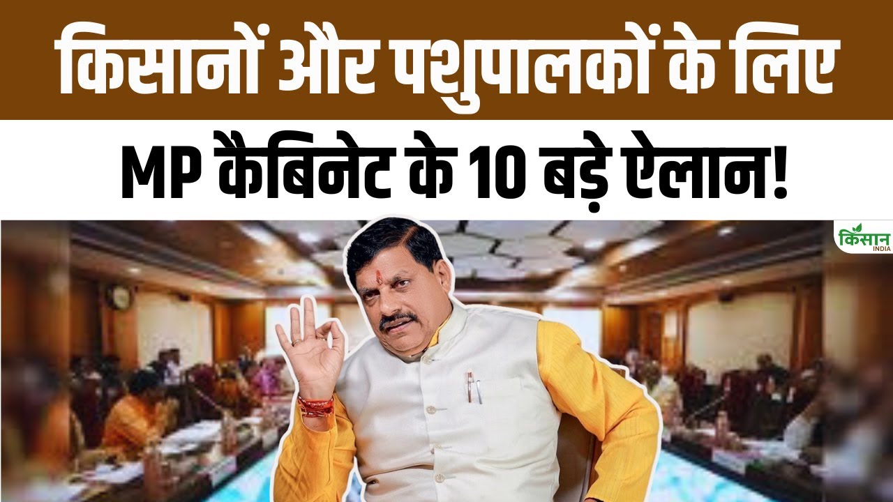Mohan Cabinet Big Decision On Crop Insurance Metro Roads And Medical Facilities Will Change The Fate Of Farmers Mp News