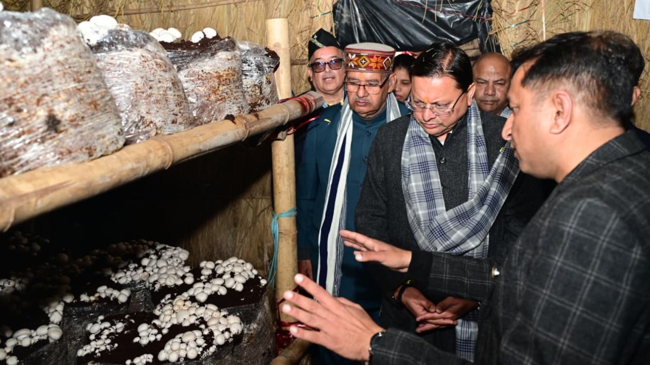Uttarakhand Chief Minister Launches Mushroom Village To Rise Production And Farmers Income Mushroom Farming