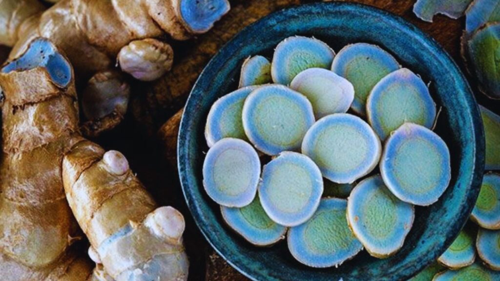 ब्लू हल्दी का पाउडर दूध या पानी में आधा से एक चम्मच मिलाकर लिया जा सकता है. इसे चाय, सब्जी या सलाद में मिलाया जा सकता है. जोड़ों के दर्द और अर्थराइटिस में इसका लेप भी राहत देता है. अधिक सेवन से पहले डॉक्टर की सलाह जरूरी है.