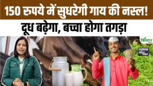 सिर्फ 150 रुपये में गाय की नस्ल सुधरेगी, बढ़ेगा दूध उत्पादन और मिलेगा तगड़ा बछड़ा