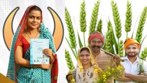 गेहूं की फसल खराब होने पर मिलेंगे 60 हजार रुपये, फसल बीमा कराने की लास्ट डेट फिर बढ़ाई गई