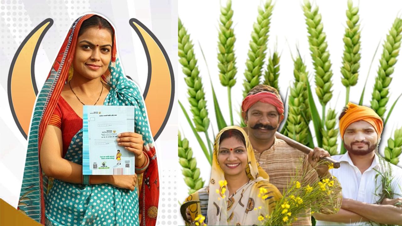 गेहूं की फसल खराब होने पर मिलेंगे 60 हजार रुपये, फसल बीमा कराने की लास्ट डेट फिर बढ़ाई गई