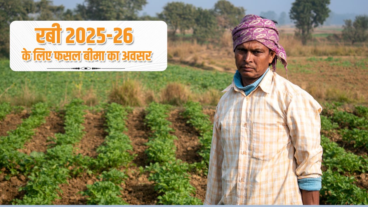 फसल बीमा योजना का लाभ पाने का अंतिम मौका, दो मिनट में ऐसे करें नुकसान भरपाई के लिए अप्लाई