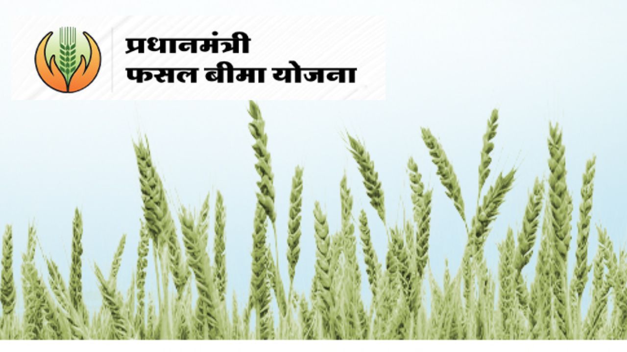 प्रधानमंत्री फसल बीमा योजना की तारीख बढ़ी, किसानों को 15 दिन का और समय मिला.. हेल्पलाइन जारी