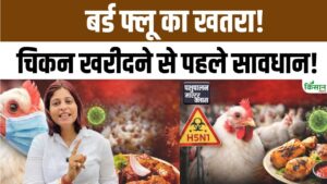 New Year से पहले मुर्गियों में फैला Bird Flu, 1 जनवरी को चिकन खरीदने से पहले हो जाएं सावधान New Year से पहले मुर्गियों में फैला Bird Flu, 1 जनवरी को चिकन खरीदने से पहले हो जाएं सावधान