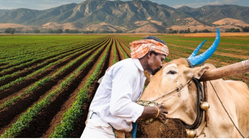 Rabi Crop Sowing acreage Data