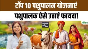 पशुपालन से खुलेगी कमाई की राह, डेयरी और पोल्ट्री से किसानों को मिल रहा सरकारी योजनाओं का सीधा लाभ