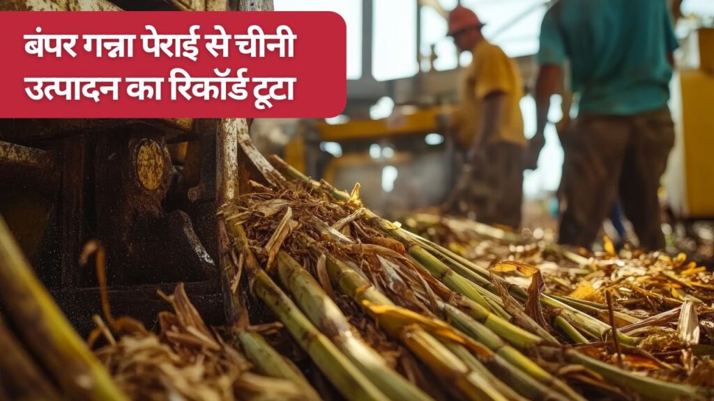 Record sugar production in first 30 days of sugarcane crushing season