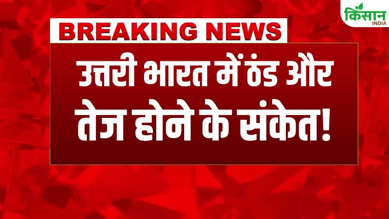 Cold Wave Intensifies In North India Heavy Snowfall Alert Hilly States Cold Wave Intensifies In Plains