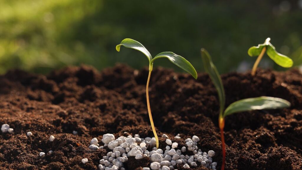 Right Location: दुकान ऐसी जगह हो जहां किसान आसानी से पहुंच सकें, जैसे गांव का मेन रोड या बाजार के पास. जगह बहुत बड़ी न हो, लेकिन साफ, सूखी और सुरक्षित होनी चाहिए ताकि सामान खराब न हो.