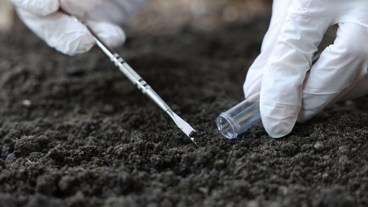 Soil Test Guide In Hindi Mitti Parikshan Kaise Kare Tips For Farmers