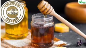पूरी दुनिया के मधु से क्यों अलग है सुंदरबन का शहद, खाने से घटता है बहुत तेजी से वजन पूरी दुनिया के मधु से क्यों अलग है सुंदरबन का शहद, खाने से घटता है बहुत तेजी से वजन