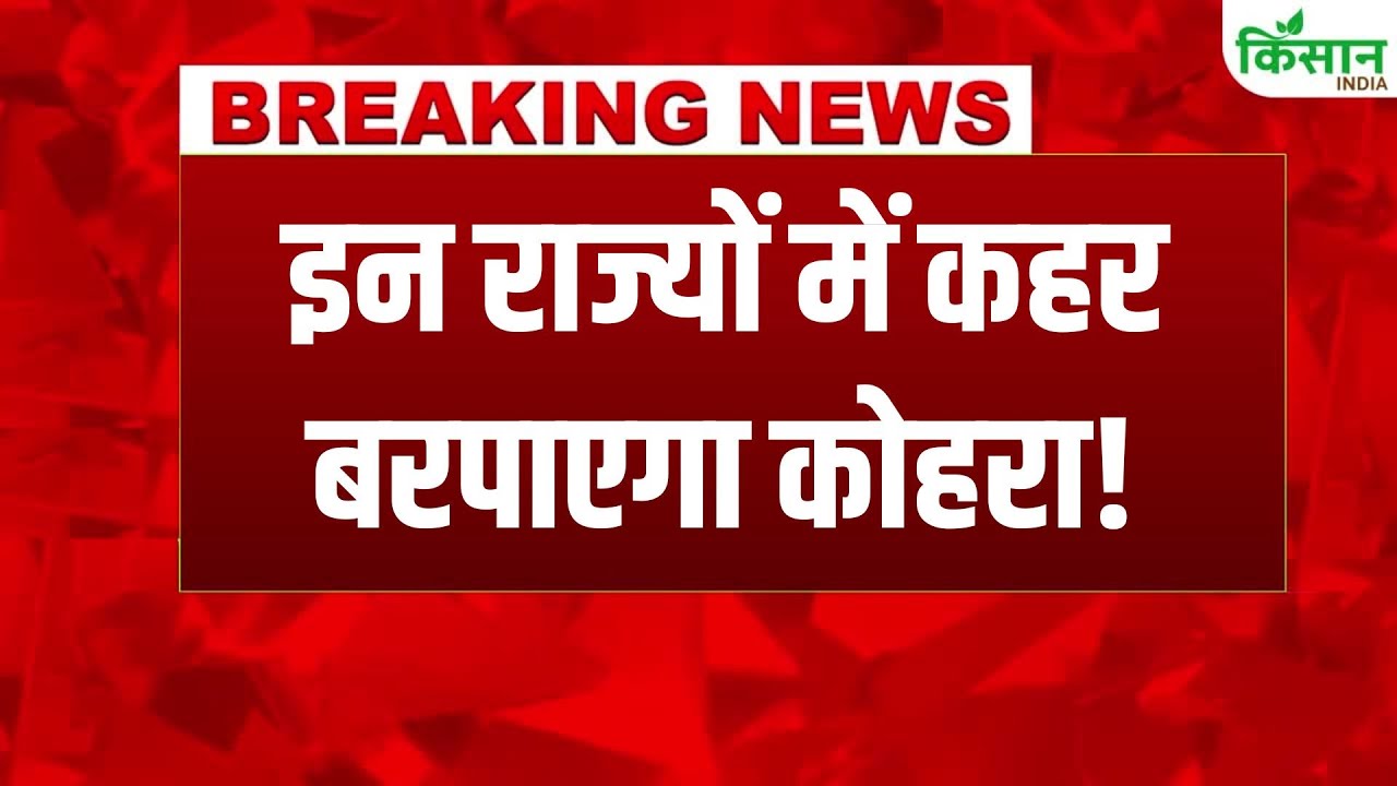 Imd Alert Dense Fog Punjab Haryana And Chandigarh Warning Very Low Visibility On December 16