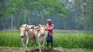 प्राकृतिक खेती को मिलेगा बड़ा सहारा, रीवा मॉडल बनेगा देशभर के किसानों के लिए नई राह
