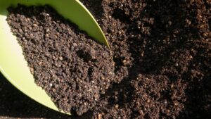 कितनी स्वस्थ है आपकी जमीन? मृदा स्वास्थ्य कार्ड बताएगा फसल बुवाई से लेकर खाद डालने का तरीका