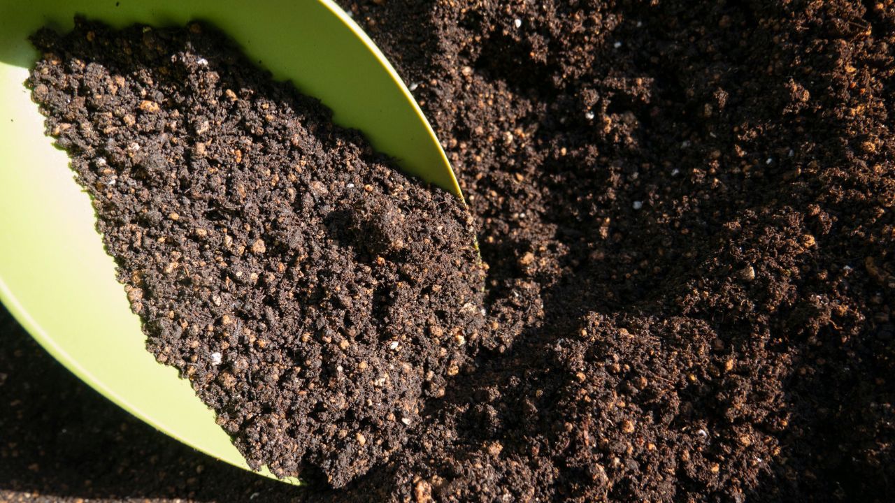 Soil Health Scheme How Healthy Is Your Soil Health Card Tell You Right Fertilizer And Right Crop