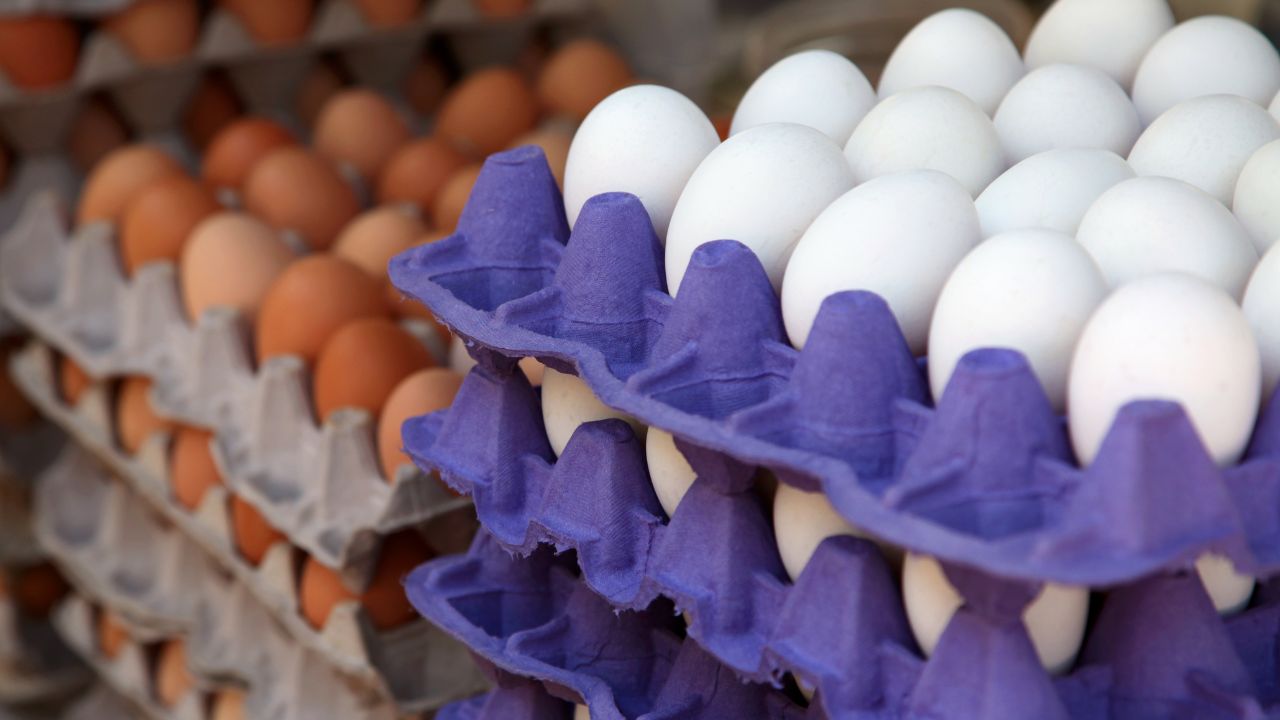 कम लागत में शुरू करें देसी अंडे का बिजनेस, गांव में रहकर हर महीने होगी अच्छी कमाई!