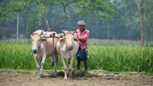 गोबर-गोमूत्र से हरियाली की राह, बिहार में प्राकृतिक खेती बन रही किसानों की नई ताकत