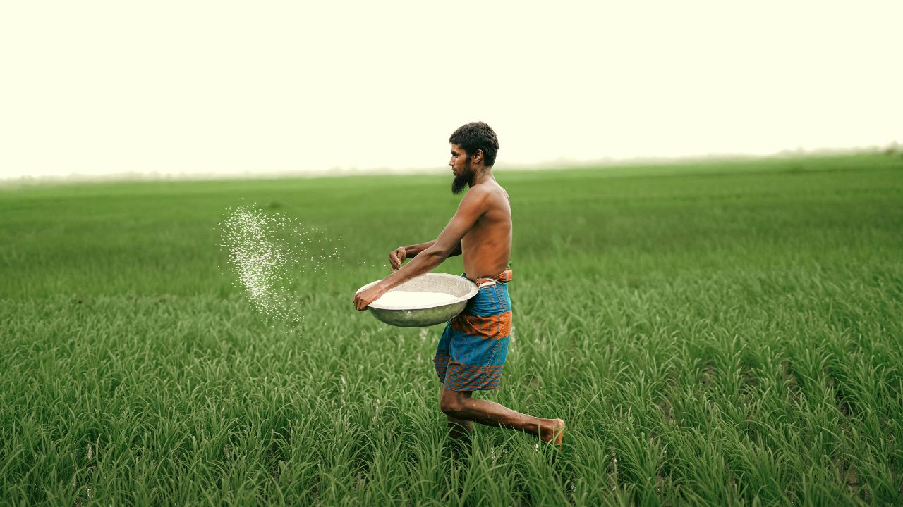 Farmers Feed 1 6 Billion People 2050 Faifa Reveals New Roadmap Agriculture Kisan Diwas 2025