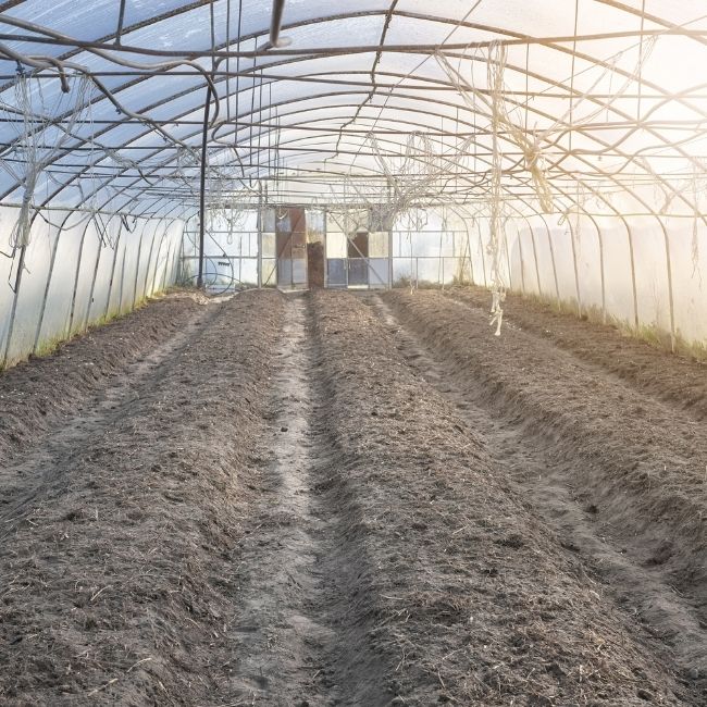 Polyhouse Farming, Government Subsidy, poleehaus par sabsidee kaise male