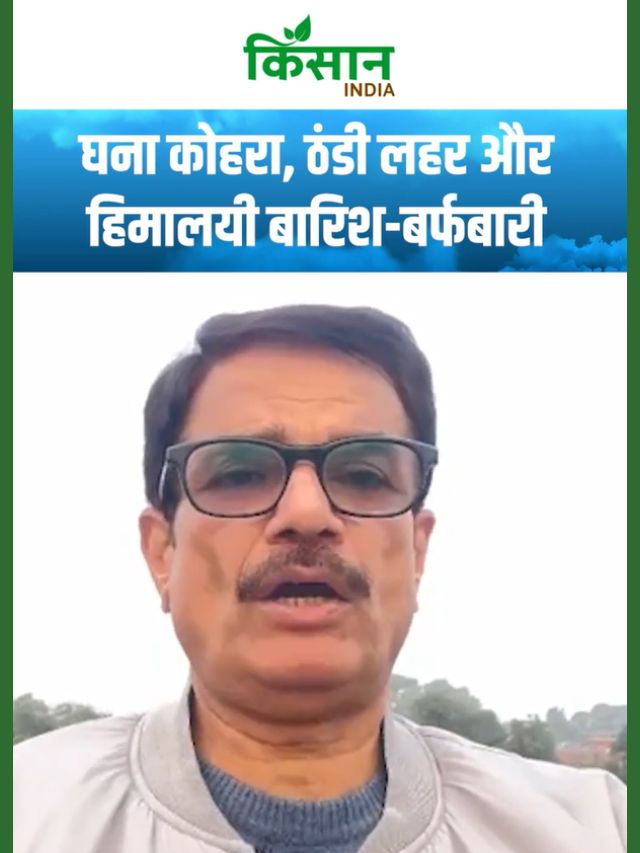 IMD Weather Forecast: घना कोहरा, ठंडी लहर और हिमालयी बारिश-बर्फबारी